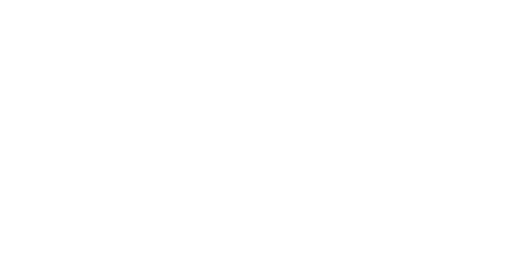 ides_logo 2